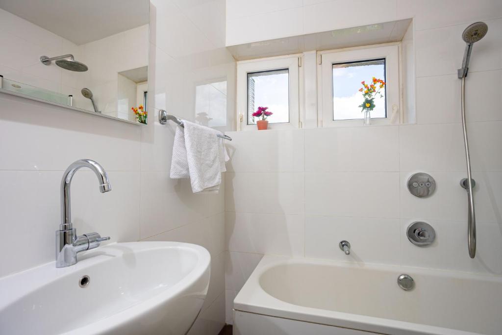 Apartment Aviani 3
