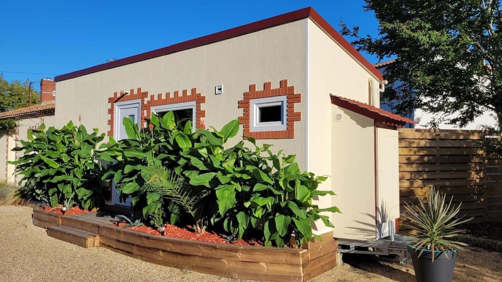 Copacabana TINY HOUSE studio terrasse jardin 4