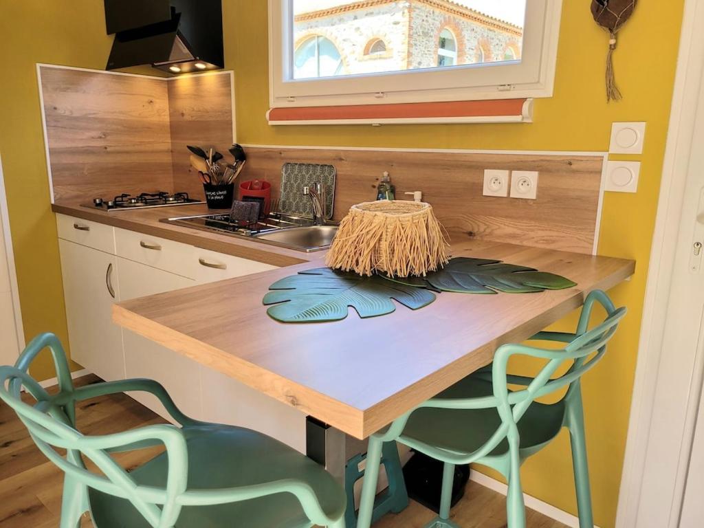 Copacabana TINY HOUSE studio terrasse jardin 5
