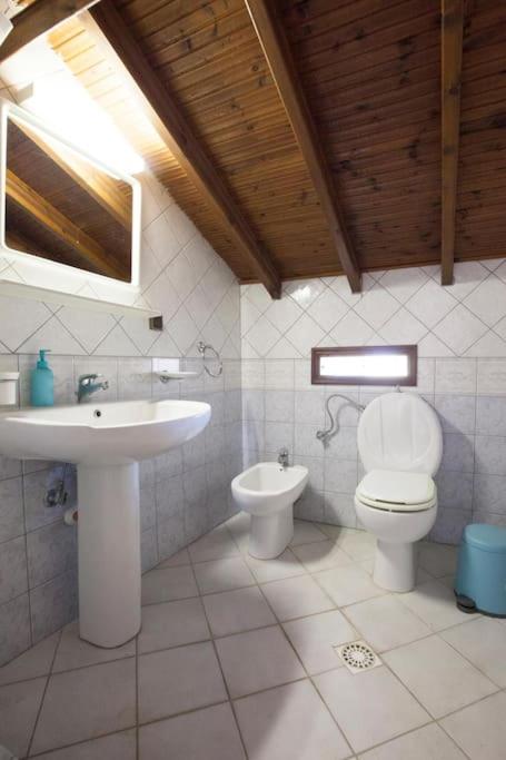 Wonderful villa with huge yard, at Potamos beach 8