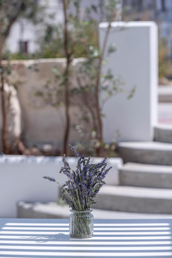 EGIDA camere mediterranee