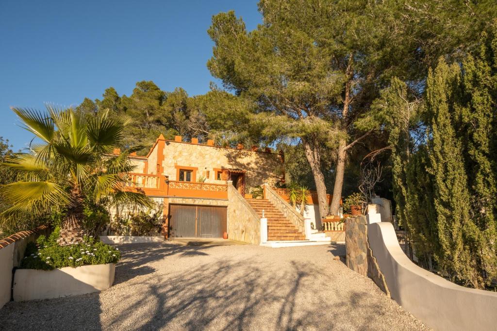 Finca Montana 7