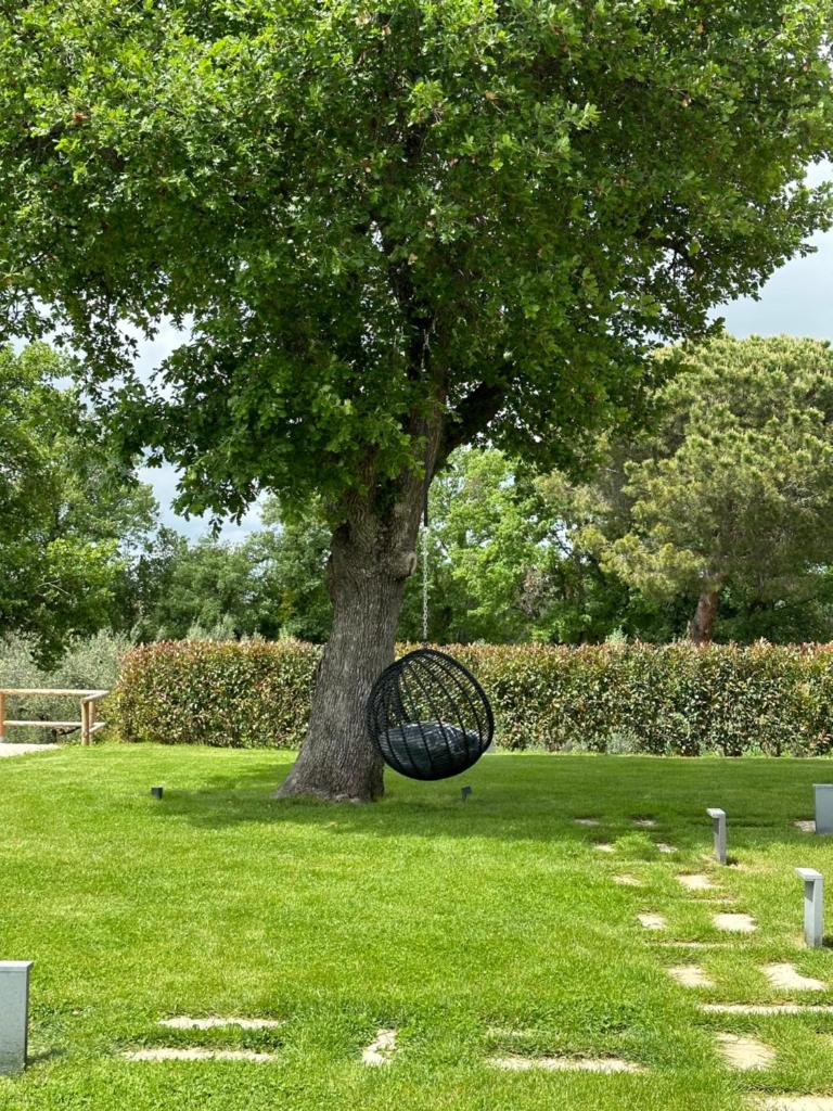 un arbre avec un objet noir dans l'herbe dans l'établissement Le Querce exclusive c house, à Viterbe