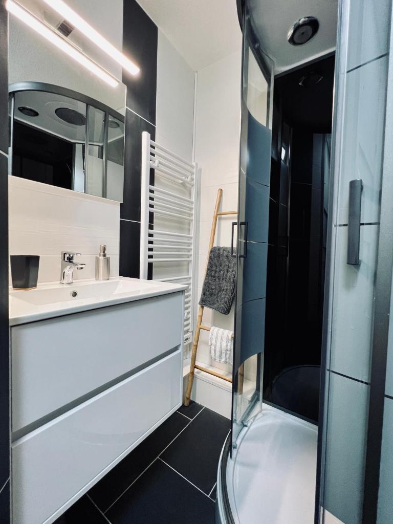 une salle de bain avec un lavabo et un miroir dans l'établissement STUDIO CENTRE STATION - REFAIT A NEUF 4 PERSONNES, à Laveissière
