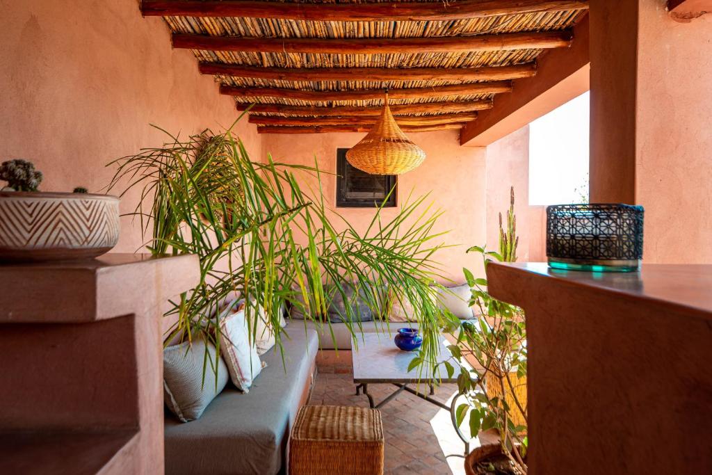 une terrasse avec un canapé et des plantes en pot dans l'établissement Riad L'orange Bleue, à Marrakech