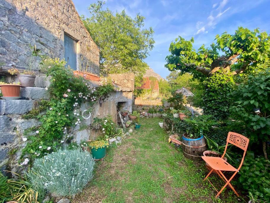 Flower House in Kozica 7