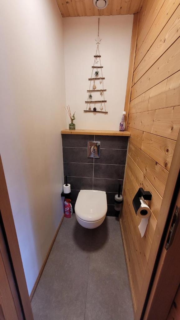La salle de bains est pourvue de toilettes avec un arbre de Noël sur le mur. dans l'établissement Chalet de la Grimpette au coeur de Gérardmer, à Gérardmer 22 autres photos