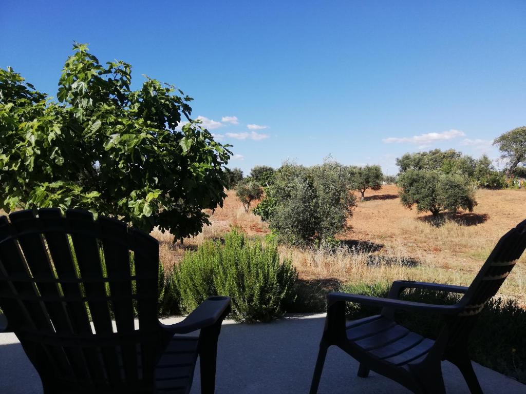 Burrico D`Orada - Rural Stays & Wine Country Tours 4
