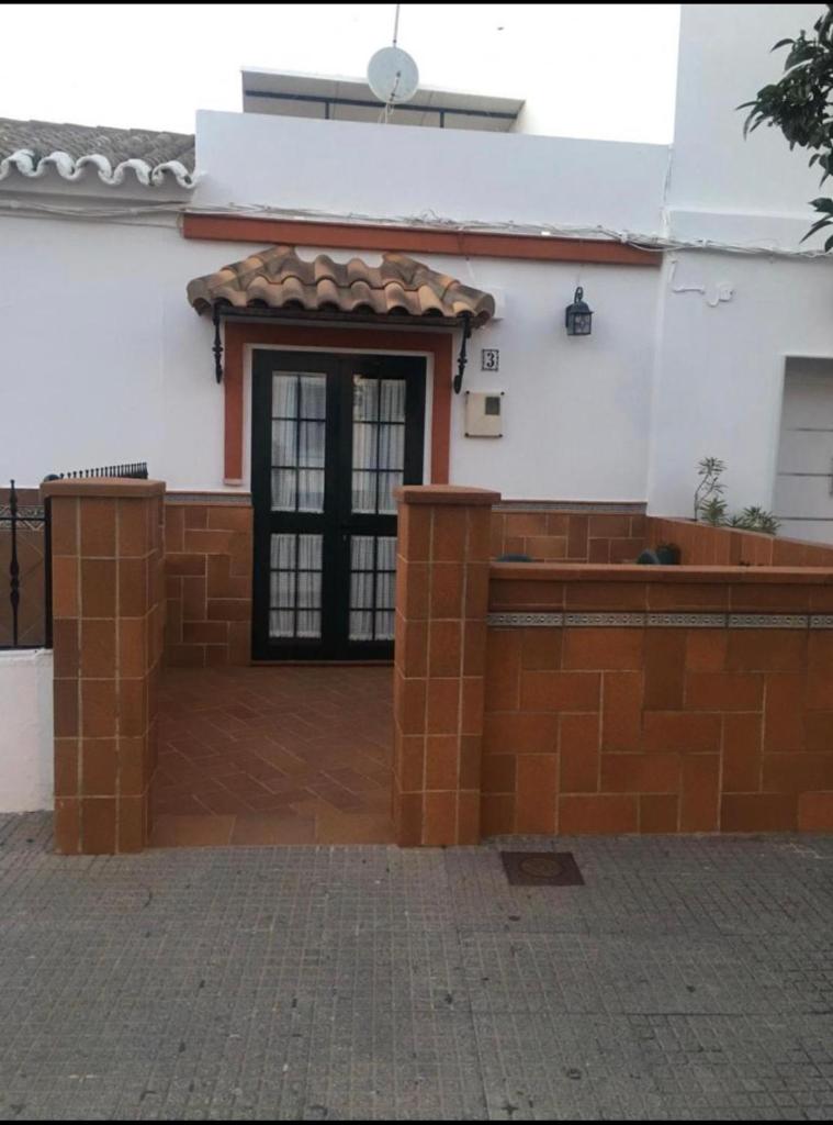 Palmera 1