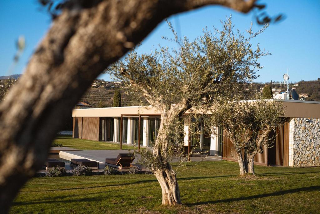 un bâtiment avec des arbres devant dans l'établissement Residenza Cavaion, à Calmasino
