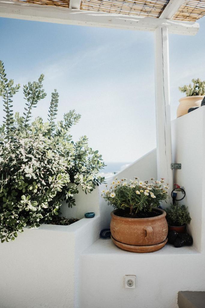 Kalyva Cycladic house - Oia Santorini 4