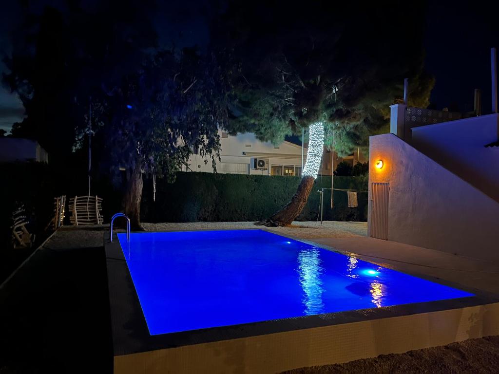 Casa Eucaliptus 5