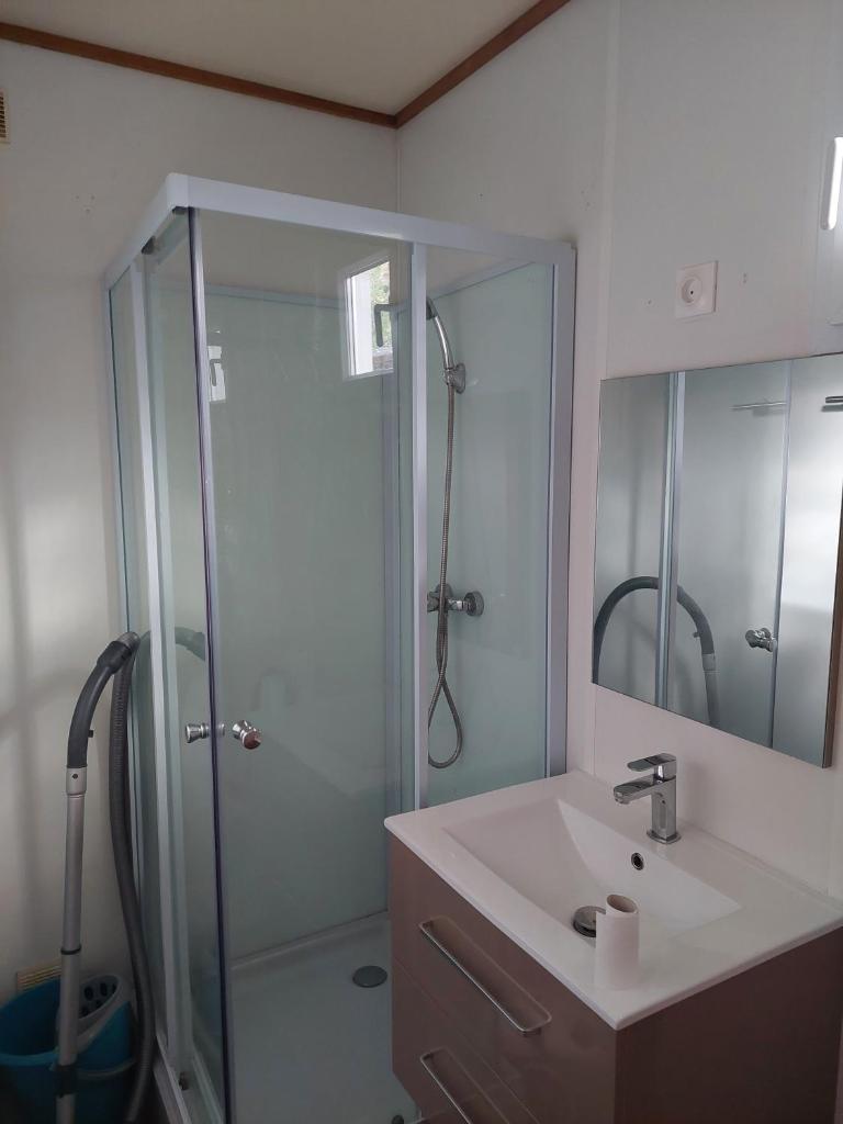une salle de bain avec une douche et un lavabo et une douche dans l'établissement Chalet des Lucioles, à Montréal