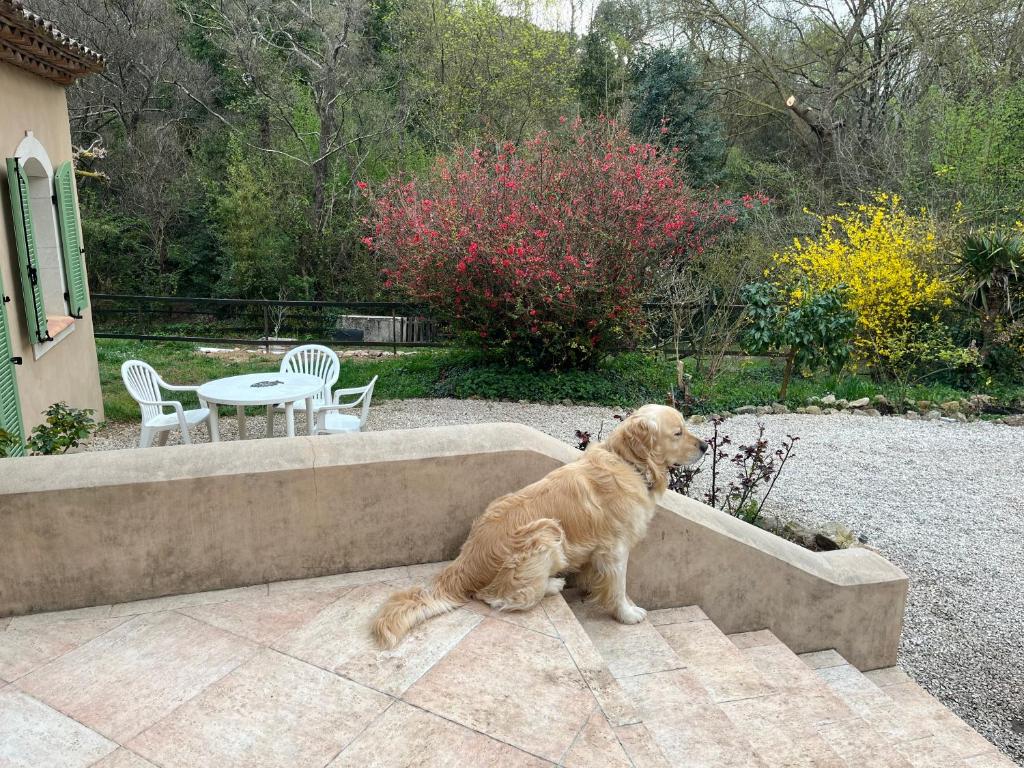 Bastide Du Maoupas Gîtes 6