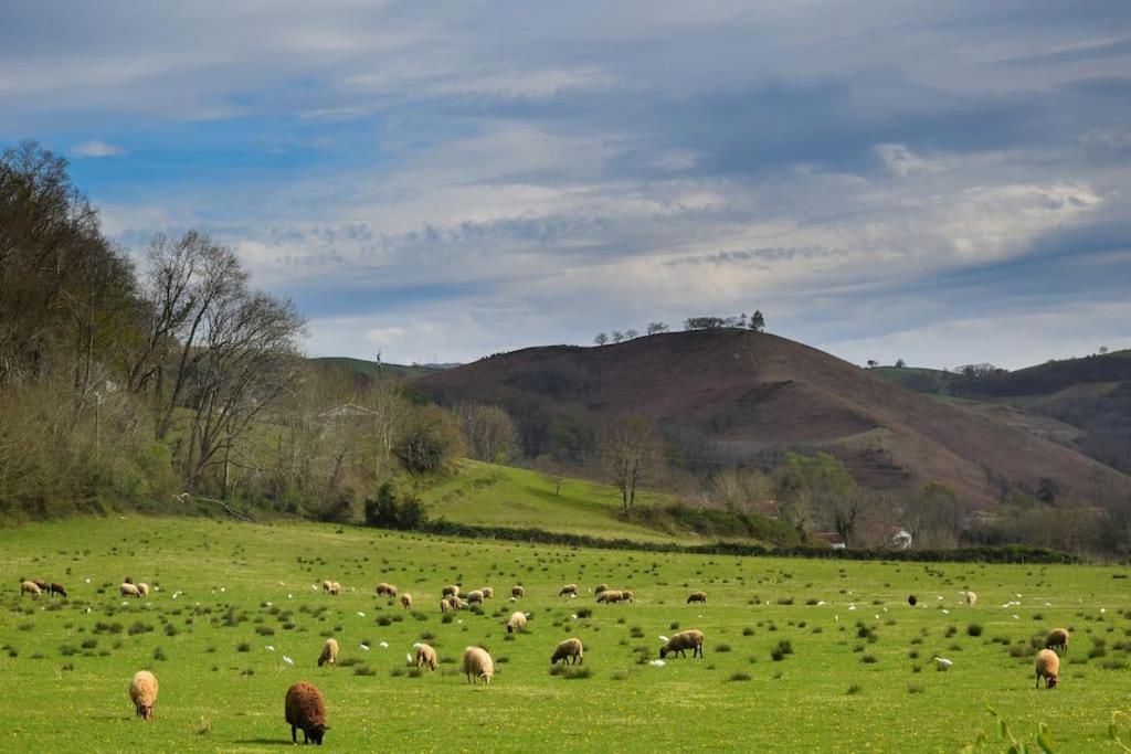 Maison au cœur du Pays Basque 8
