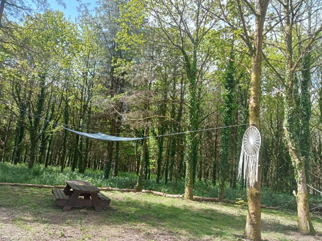 - un hamac suspendu à un arbre à côté d'une table de pique-nique dans l'établissement tente nature, à Plouray