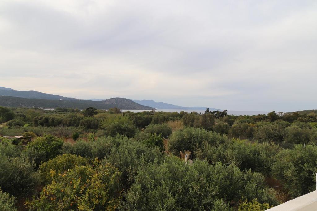 Villa Aristea 8