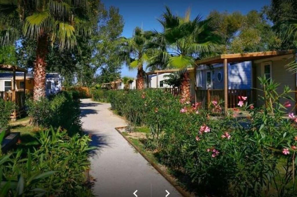 une passerelle traversant un jardin planté de fleurs et de palmiers dans l'établissement MOBIL HOME n 1 TOUT CONFORT ST CYPRIEN 66, à Saint-Cyprien