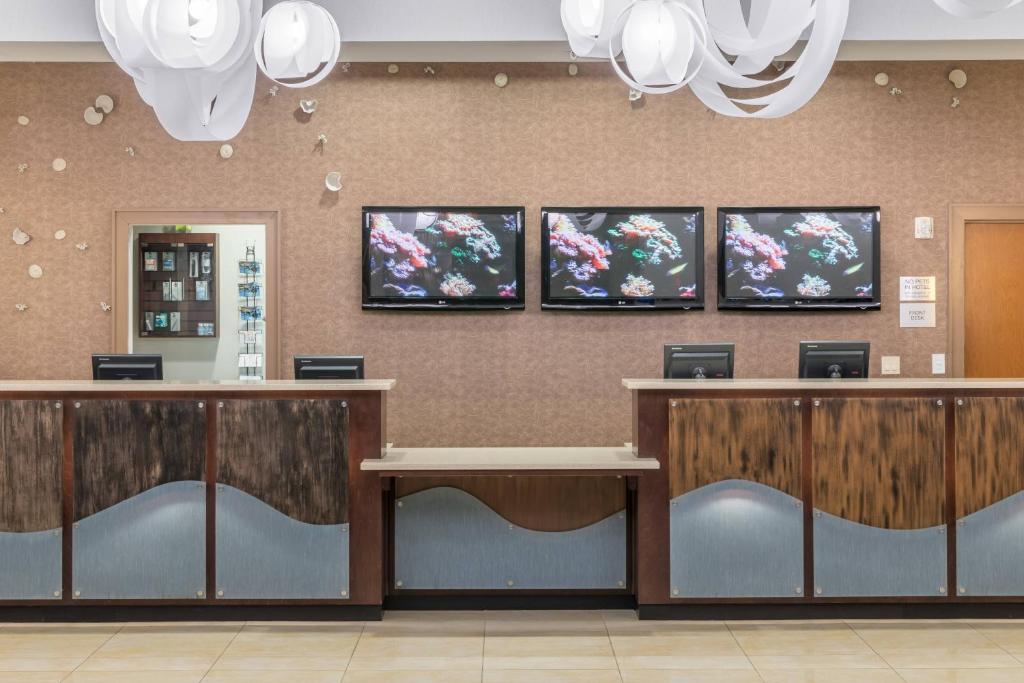 Fairfield Inn Suites by Marriott Orlando At SeaWorld Image