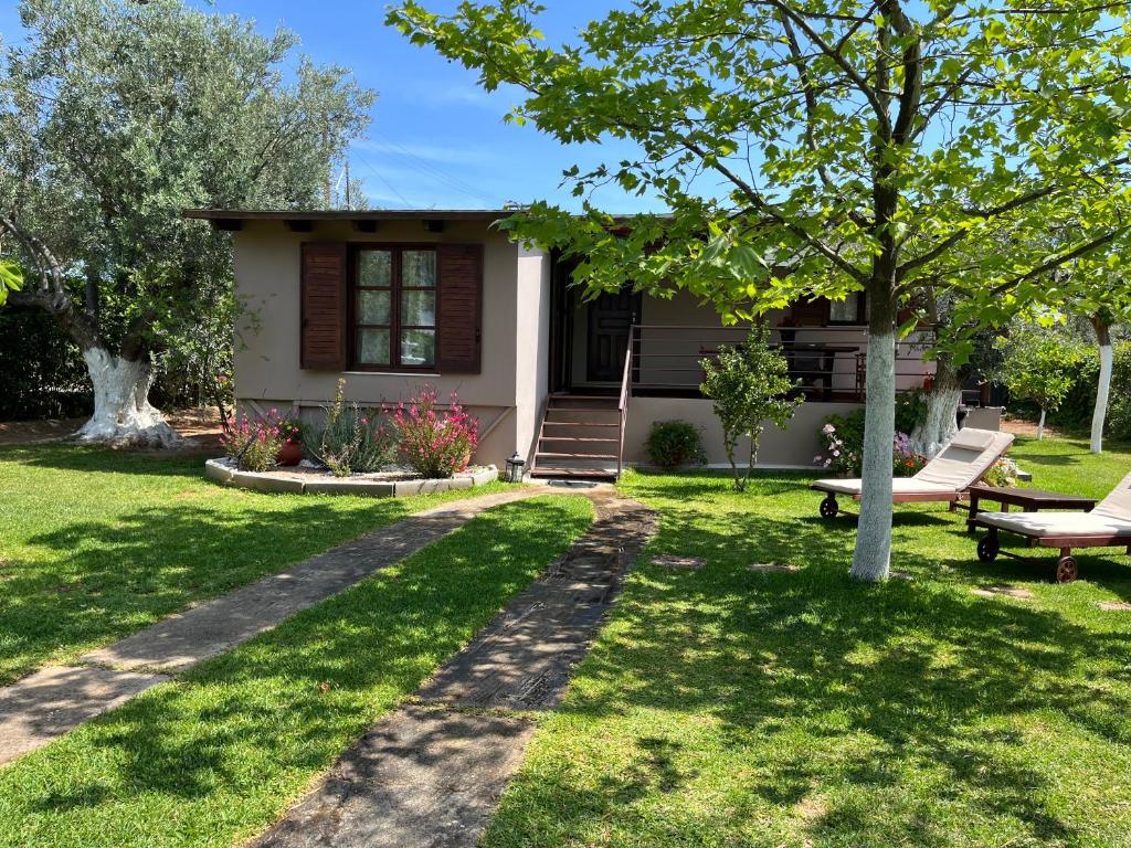 Les Olives Woodhouse 1