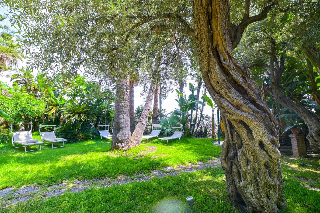 un parc avec des chaises et des arbres dans l'herbe dans l'établissement Hotel Baia Delle Sirene, à Taormine