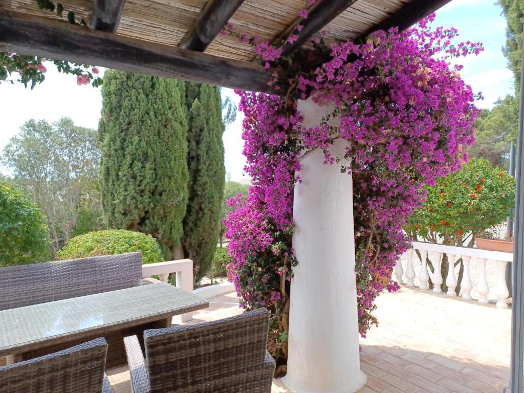 Quinta do Paraíso - Casa Colynda 1
