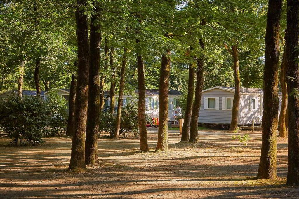 un groupe d'arbres avec une maison en arrière-plan dans l'établissement Mobil-home Puy du Fou, à La Boissière-de-Montaigu