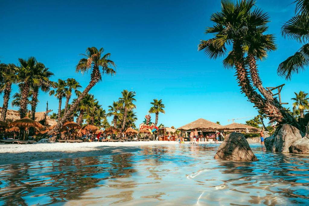 - une vue sur une plage bordée de palmiers et de parasols dans l'établissement Hotel Colonna, à Lido di Jesolo