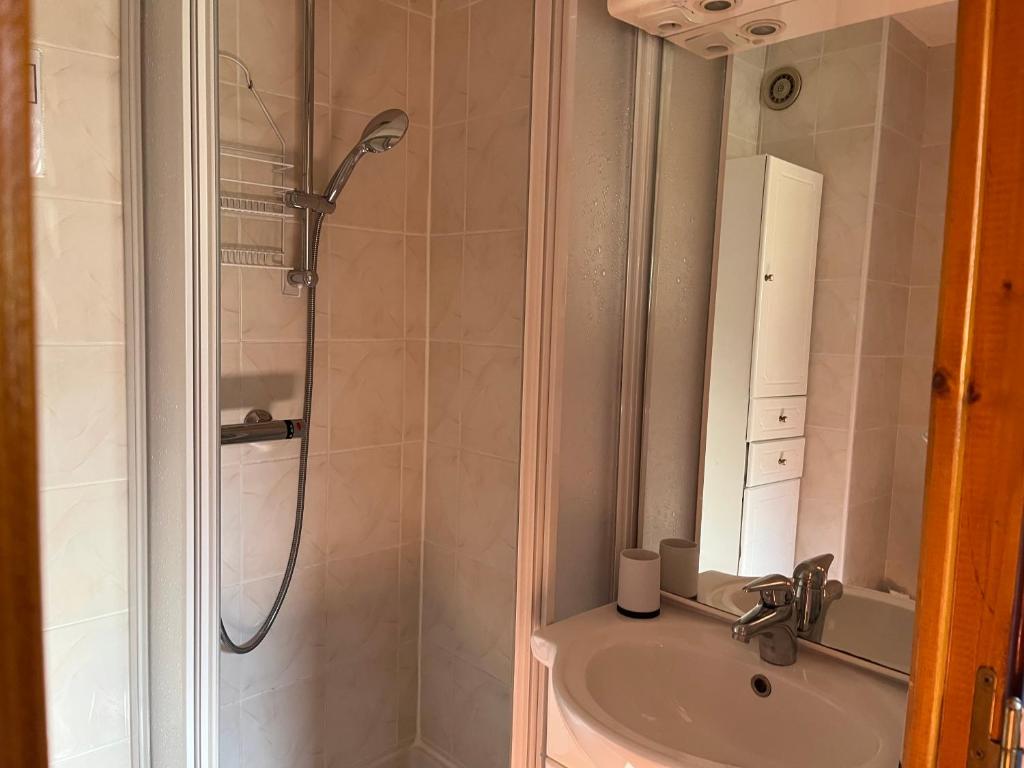 une salle de bain avec douche et lavabo dans l'établissement L’écureuil St Léger Les Mélèzes, à Saint-Léger-les-Mélèzes