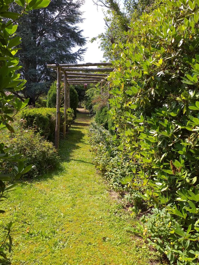 une allée de jardin avec une pergola en bois dans l'établissement Bulle sous les étoiles, à La Saunière
