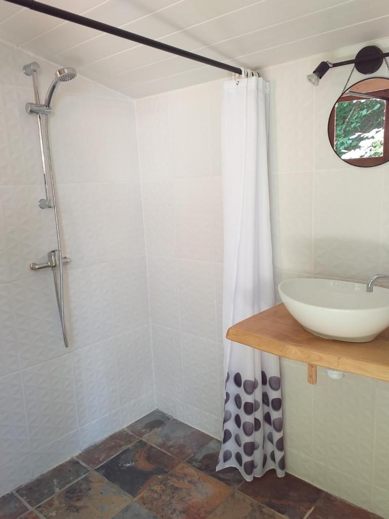 une salle de bain avec un lavabo et une douche dans l'établissement Bulle sous les étoiles, à La Saunière