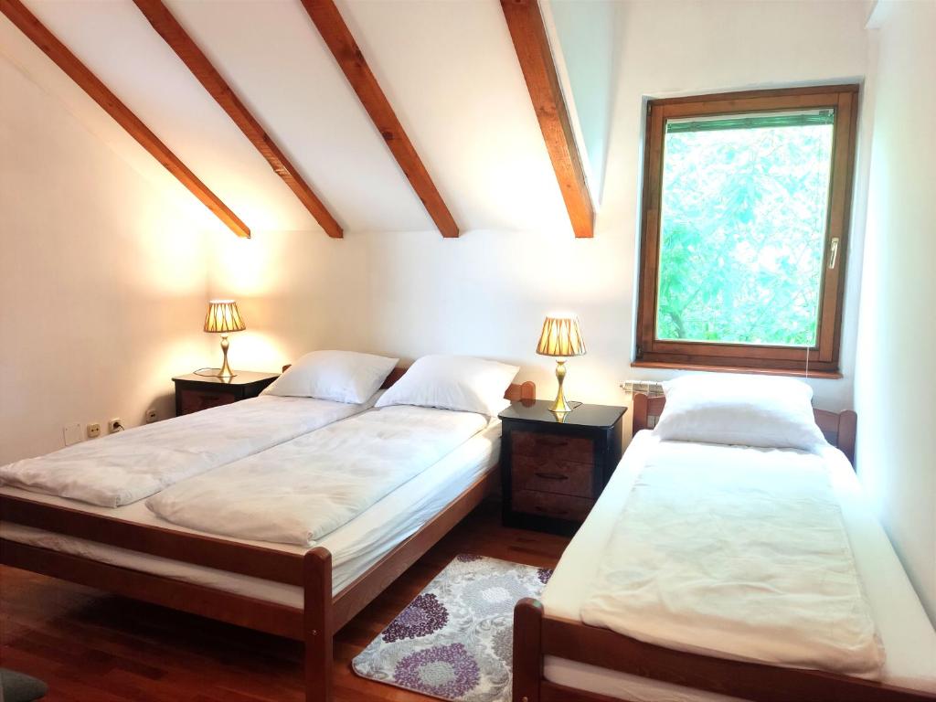 Vila Gardenia 7