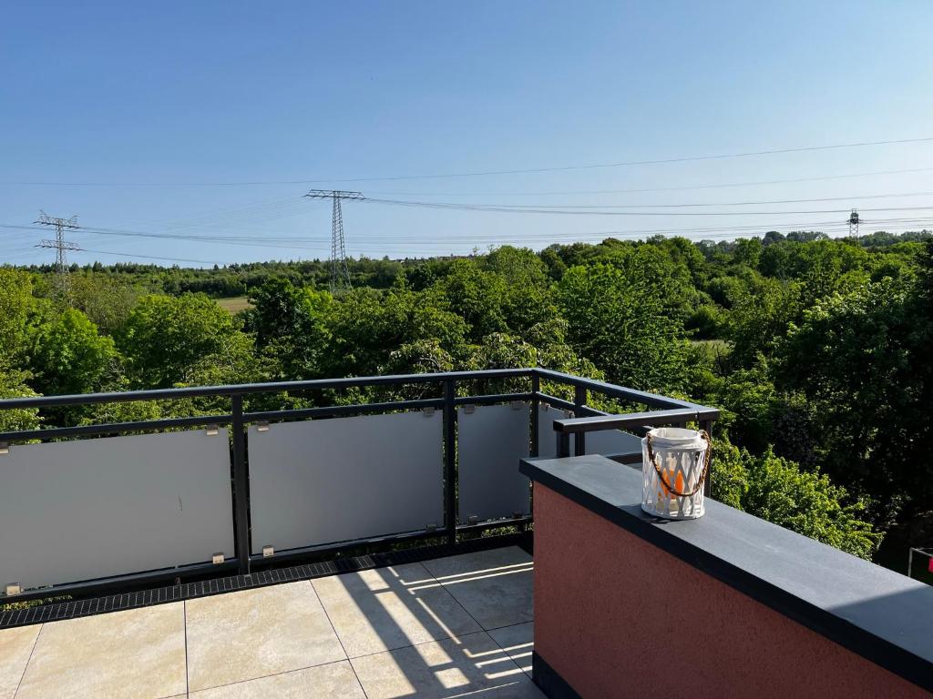 Apartmenthaus Landeskrone Dresden für Gruppen bis 20 Personen, 2 Wohnungen, Sauna, Dachterrasse & Garten 3
