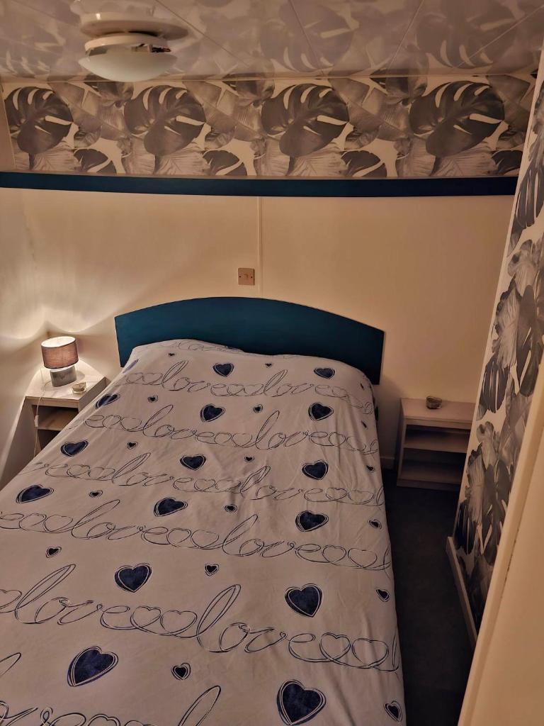 Photo de la galerie de l'établissement Mobil Home "les loulous" 4 a 6 personnes, à Mimizan