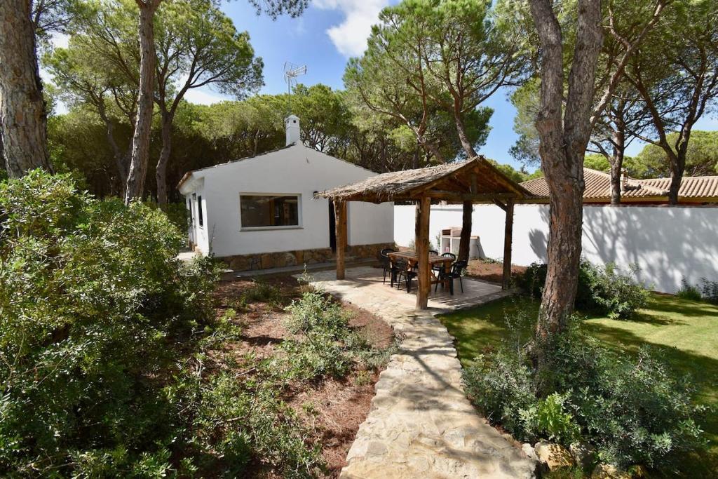 Casa Palmito 2 3