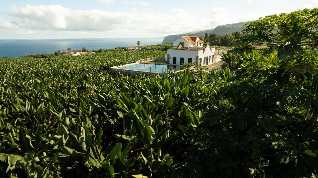 Hacienda Los Orovales 8