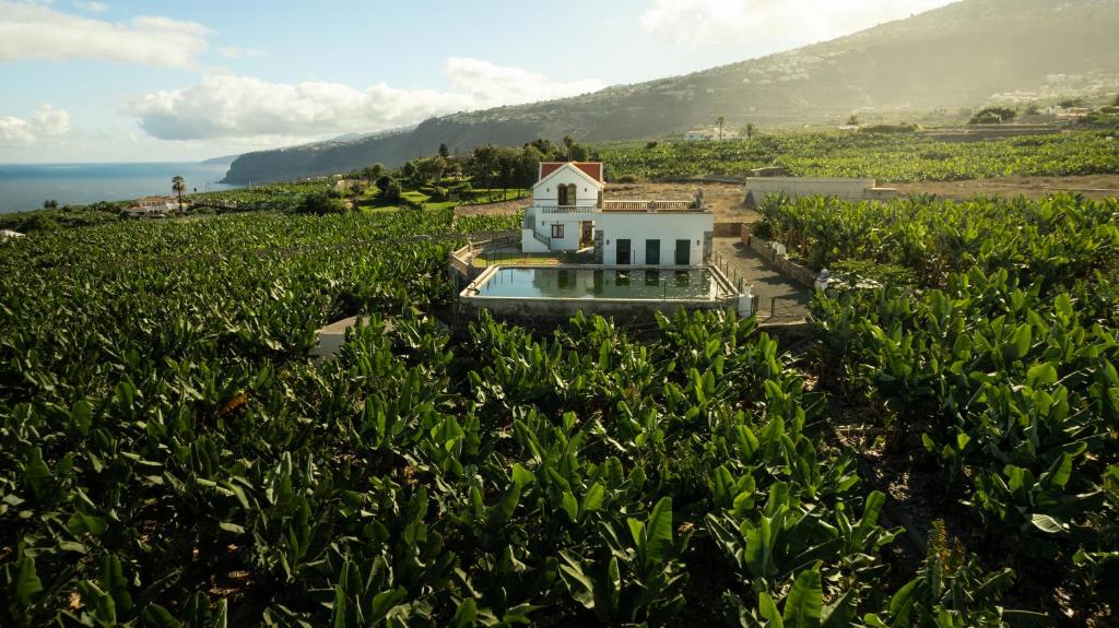 Hacienda Los Orovales 7