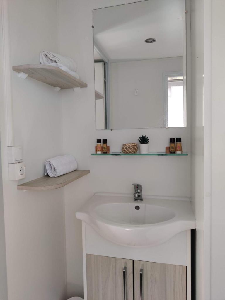 une salle de bain avec un lavabo et un miroir dans l'établissement Mobil Home 6/8 personnes Camping le lac des rêves, à Lattes