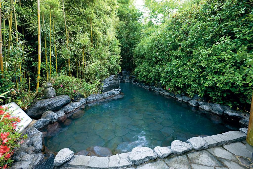 une piscine d'eau avec des rochers dans un jardin dans l'établissement Ukiha, à Hita