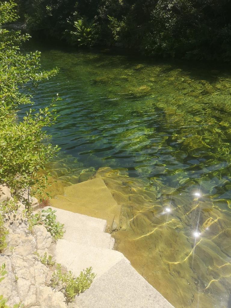 une grande étendue d'eau avec des rochers et des arbres dans l'établissement Lodge de Travo, à Ventiseri