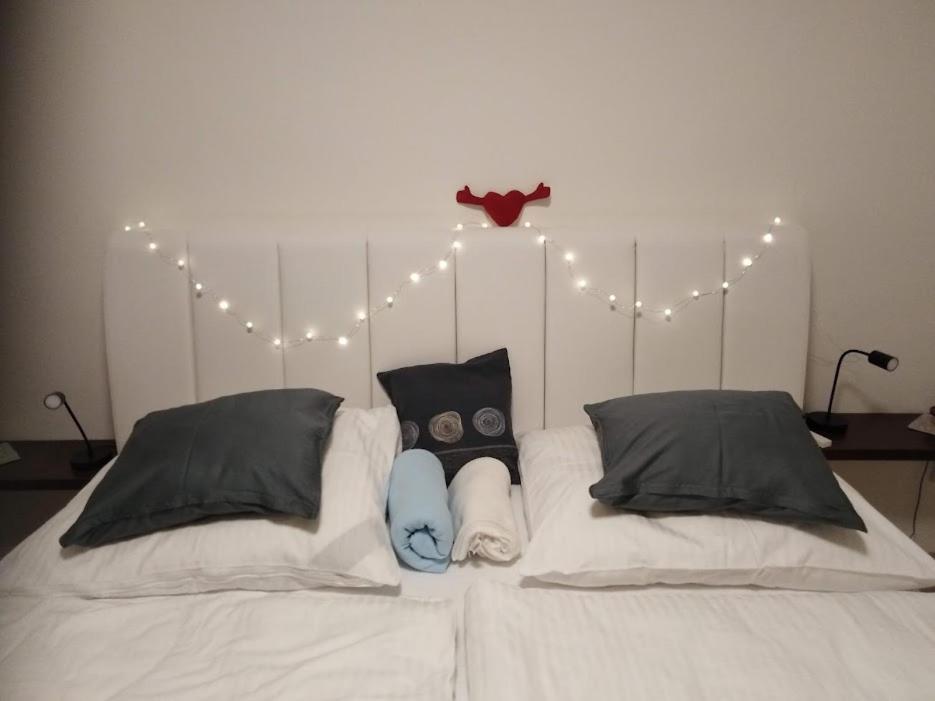 Academic Apartment Brno (AAB) 2+1 (62 m²) 6