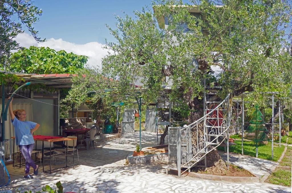 VENI Olive House 6