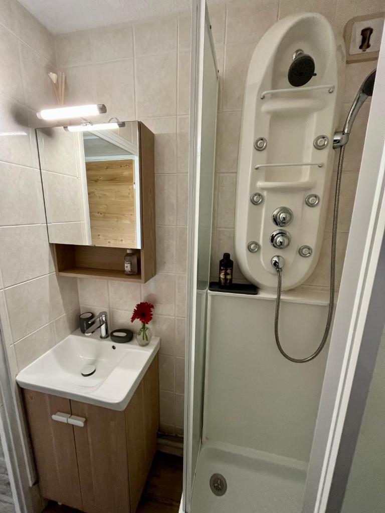 La petite salle de bains est pourvue d'une douche et d'un lavabo. dans l'établissement Samoens 1600, ski au pied, à Samoëns 37 autres photos