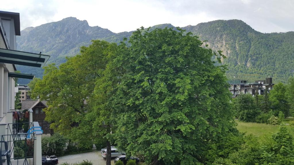 Apartmenthaus Salzburger Hof 6