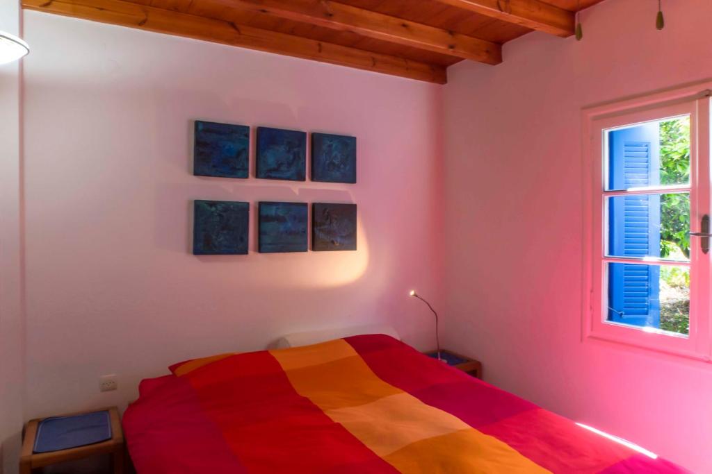 Phlea Farm Studios 3