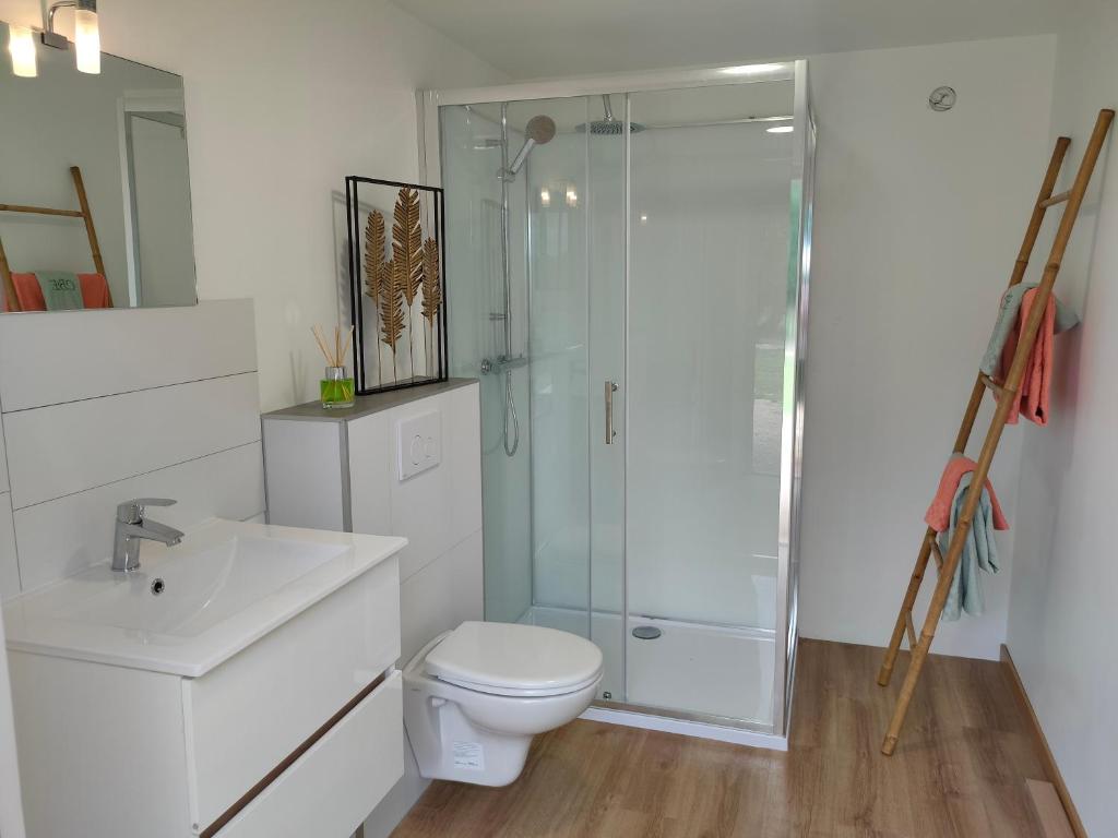 une salle de bain avec une douche, des toilettes et un lavabo dans l'établissement Célé Bulles Étoilées, à Brengues