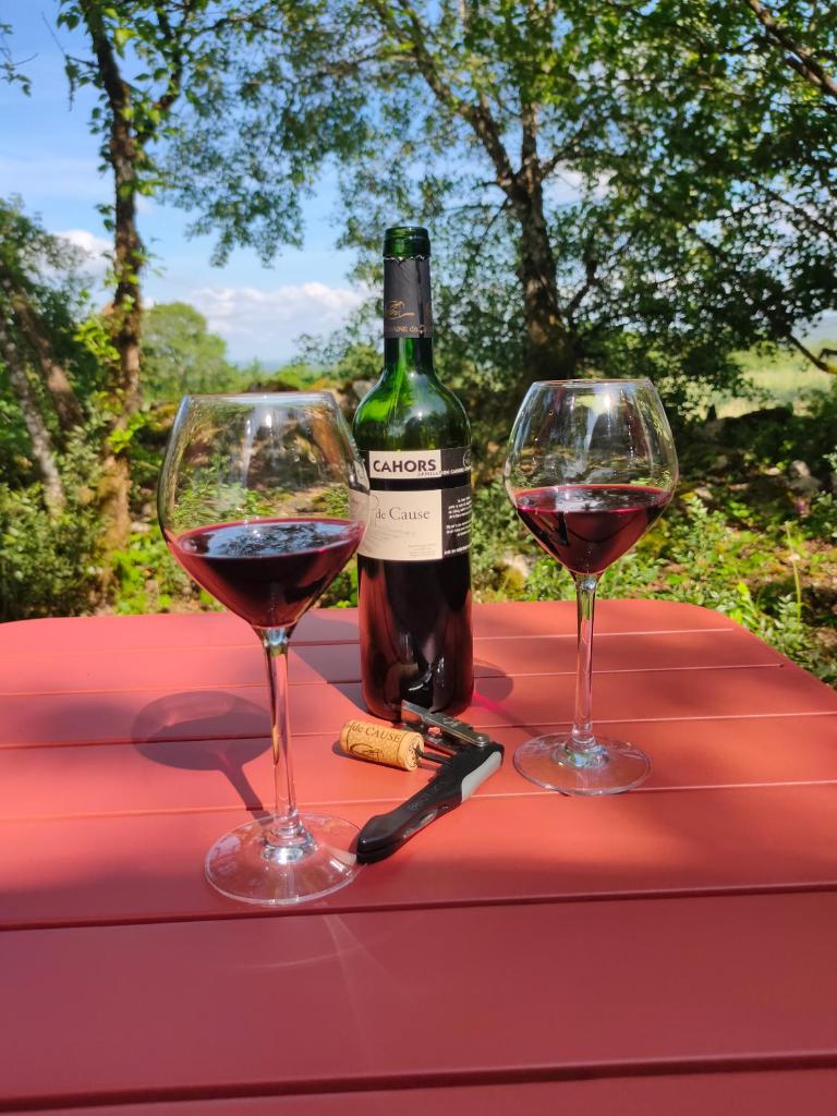 deux verres de vin rouge assis sur une table dans l'établissement Célé Bulles Étoilées, à Brengues