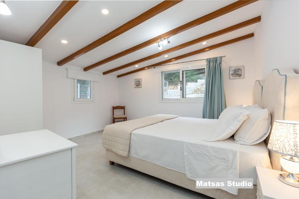 Matsas House & Studio 5