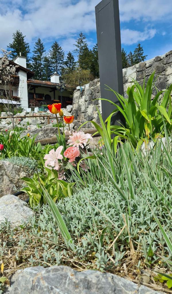 Alpenchalet Zum Jeremia 6