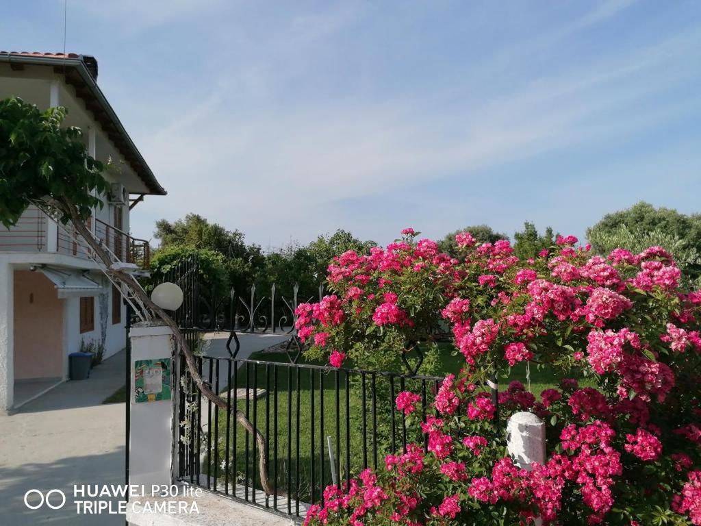Villa Anastasia 1ος Όροφος Εξοχικής Παραθαλάσσιας Κατοικίας Νέα Ηράκλεια Χαλκιδικής 8